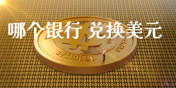 哪个银行 兑换美元_https://m.eyunqq.com_期货投资学习_第1张