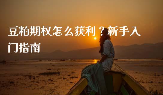 豆粕期权怎么获利？新手入门指南_https://m.eyunqq.com_基金交易_第1张