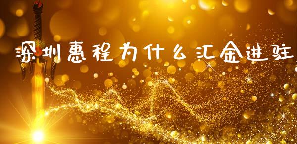 深圳惠程为什么汇金进驻_https://m.eyunqq.com_融资融券_第1张