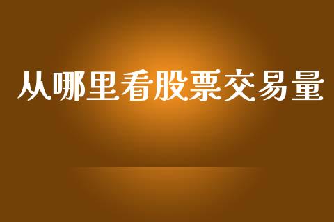 从哪里看股票交易量_https://m.eyunqq.com_期货投资学习_第1张