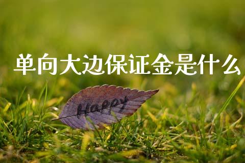 单向大边保证金是什么_https://m.eyunqq.com_期货投资学习_第1张