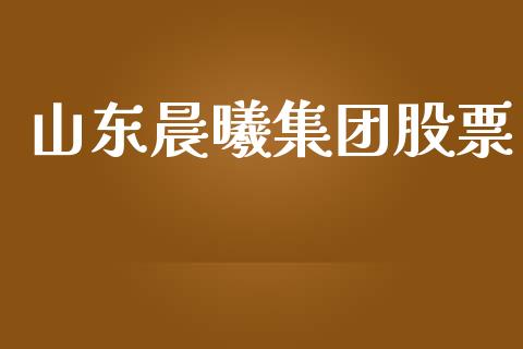 山东晨曦集团股票_https://m.eyunqq.com_基金交易_第1张