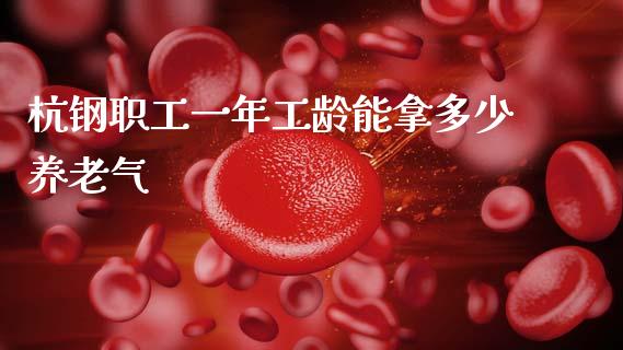 杭钢职工一年工龄能拿多少养老气_https://m.eyunqq.com_期货投资学习_第1张