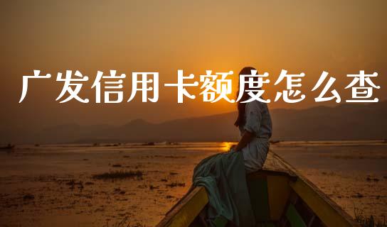 广发信用卡额度怎么查_https://m.eyunqq.com_基金交易_第1张