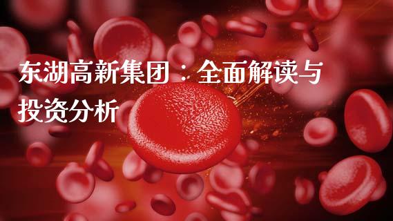 东湖高新集团：全面解读与投资分析_https://m.eyunqq.com_基金交易_第1张