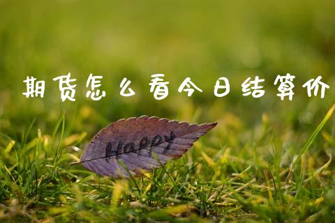 期货怎么看今日结算价_https://m.eyunqq.com_基金交易_第1张