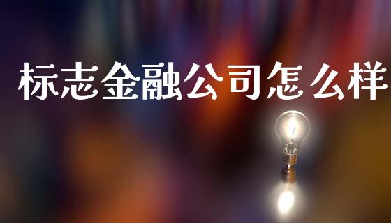 标志金融公司怎么样_https://m.eyunqq.com_融资融券_第1张