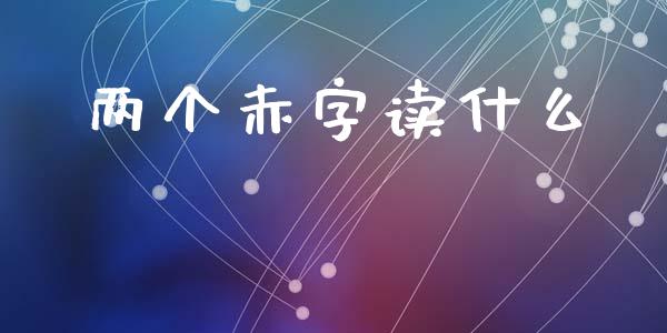 两个赤字读什么_https://m.eyunqq.com_基金交易_第1张