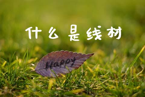 什么是线材_https://m.eyunqq.com_新股申购_第1张