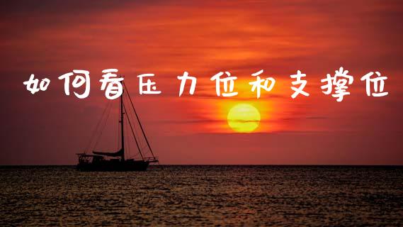 如何看压力位和支撑位_https://m.eyunqq.com_期货投资学习_第1张