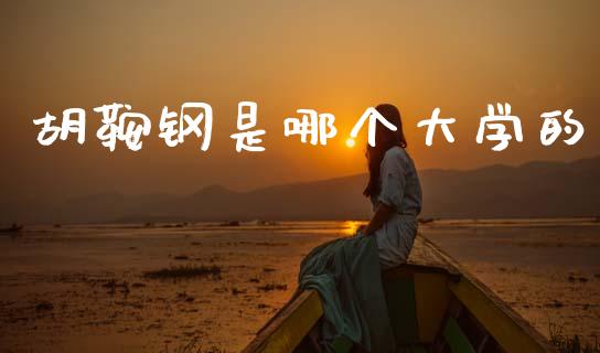 胡鞍钢是哪个大学的_https://m.eyunqq.com_基金交易_第1张