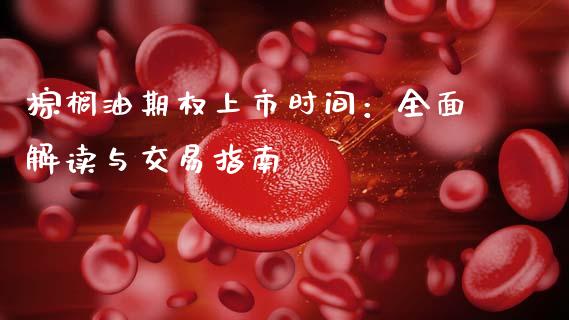 棕榈油期权上市时间：全面解读与交易指南_https://m.eyunqq.com_融资融券_第1张