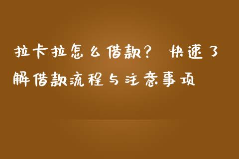 拉卡拉怎么借款？ 快速了解借款流程与注意事项_https://m.eyunqq.com_新股申购_第1张