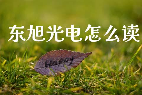 东旭光电怎么读_https://m.eyunqq.com_基金交易_第1张