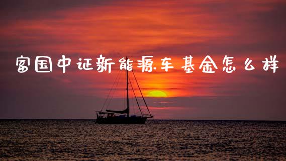 富国中证新能源车基金怎么样_https://m.eyunqq.com_期货投资学习_第1张