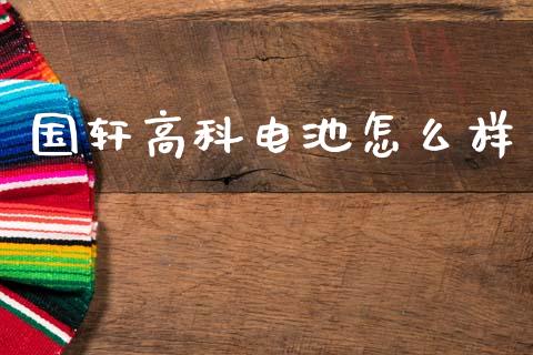 国轩高科电池怎么样_https://m.eyunqq.com_融资融券_第1张