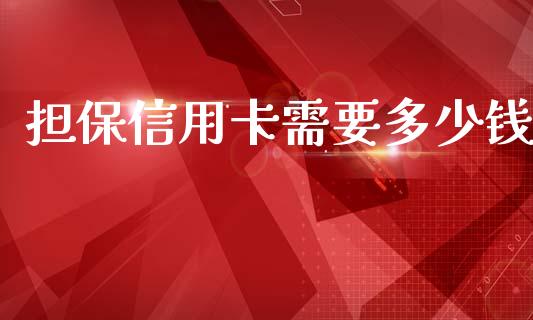 担保信用卡需要多少钱_https://m.eyunqq.com_基金交易_第1张