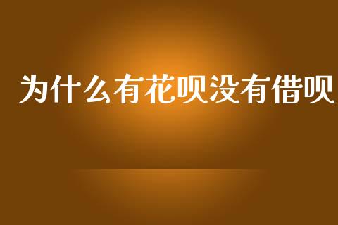 为什么有花呗没有借呗_https://m.eyunqq.com_期货投资学习_第1张