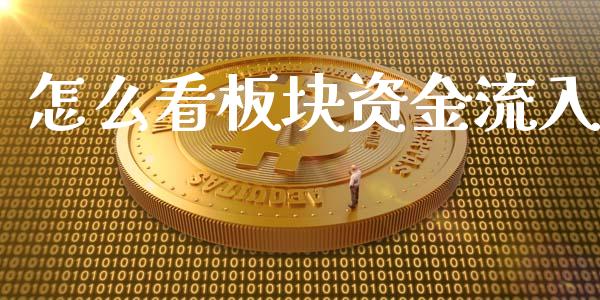 怎么看板块资金流入_https://m.eyunqq.com_新股申购_第1张