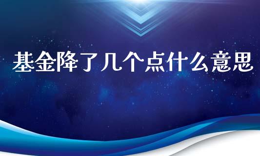 基金降了几个点什么意思_https://m.eyunqq.com_期货投资学习_第1张