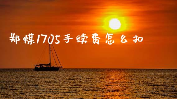 郑煤1705手续费怎么扣_新股申购_第1张_期货投资学习_新股申购_融资融券_基金交易 郑煤1705手续费怎么扣_https://m.eyunqq.com_新股申购_第1张