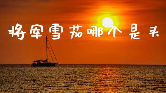 将军雪茄哪个是头_https://m.eyunqq.com_基金交易_第1张