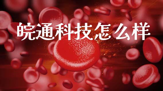 皖通科技怎么样_https://m.eyunqq.com_新股申购_第1张