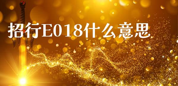 招行E018什么意思_https://m.eyunqq.com_融资融券_第1张