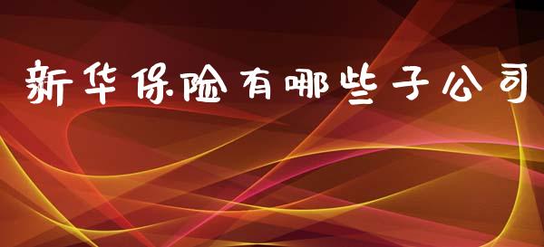 新华保险有哪些子公司_https://m.eyunqq.com_期货投资学习_第1张