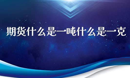 期货什么是一吨什么是一克_https://m.eyunqq.com_融资融券_第1张
