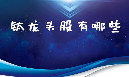 钛龙头股有哪些_https://m.eyunqq.com_基金交易_第1张