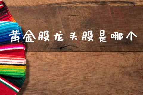 黄金股龙头股是哪个_https://m.eyunqq.com_融资融券_第1张