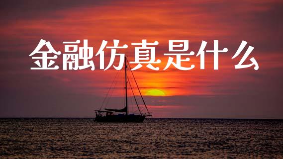 金融仿真是什么_https://m.eyunqq.com_融资融券_第1张