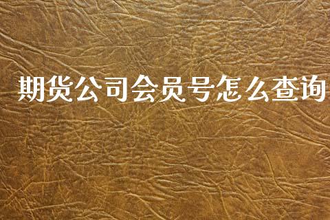 期货公司会员号怎么查询_https://m.eyunqq.com_期货投资学习_第1张