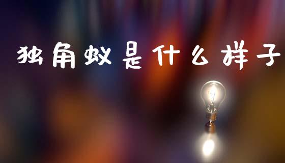 独角蚁是什么样子_https://m.eyunqq.com_基金交易_第1张
