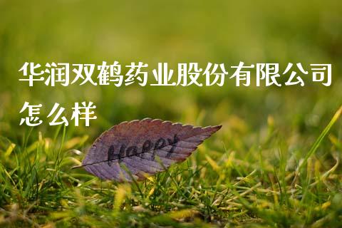 华润双鹤药业股份有限公司怎么样_https://m.eyunqq.com_新股申购_第1张