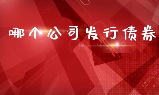 哪个公司发行债券_https://m.eyunqq.com_新股申购_第1张