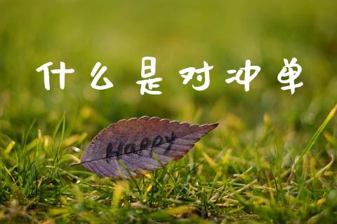 什么是对冲单_https://m.eyunqq.com_基金交易_第1张
