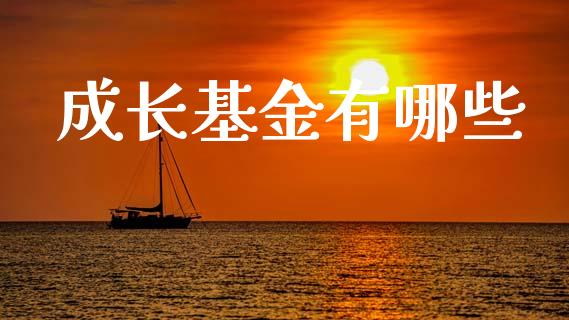 成长基金有哪些_https://m.eyunqq.com_新股申购_第1张