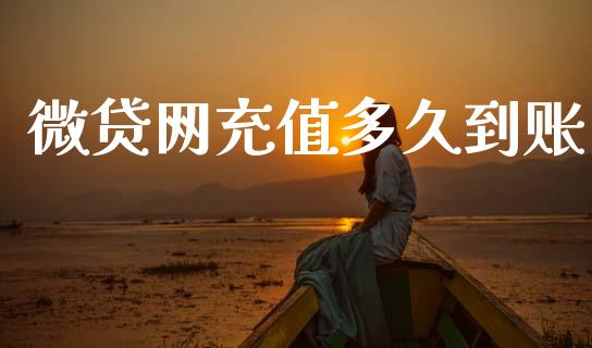 微贷网充值多久到账_https://m.eyunqq.com_基金交易_第1张