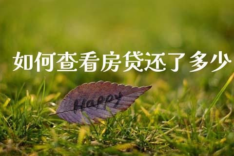 如何查看房贷还了多少_https://m.eyunqq.com_基金交易_第1张