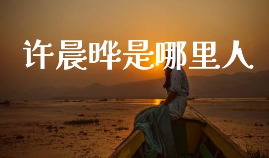 许晨晔是哪里人_https://m.eyunqq.com_期货投资学习_第1张