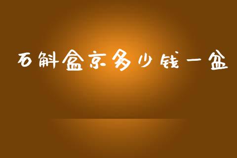 石斛盒京多少钱一盆_新股申购_第1张_期货投资学习_新股申购_融资融券_基金交易 石斛盒京多少钱一盆_https://m.eyunqq.com_新股申购_第1张