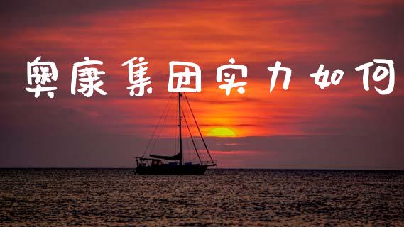 奥康集团实力如何_https://m.eyunqq.com_新股申购_第1张