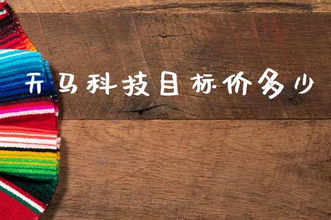 天马科技目标价多少_https://m.eyunqq.com_基金交易_第1张