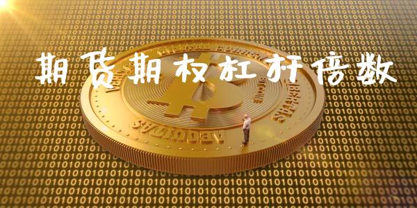 期货期权杠杆倍数_https://m.eyunqq.com_新股申购_第1张
