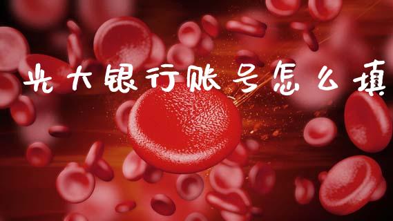 光大银行账号怎么填_https://m.eyunqq.com_期货投资学习_第1张