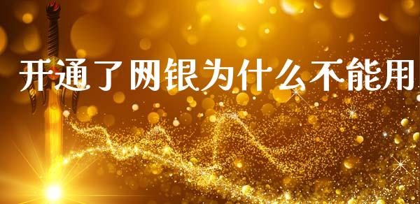 开通了网银为什么不能用_https://m.eyunqq.com_期货投资学习_第1张