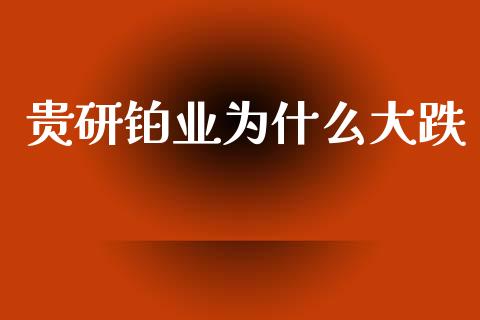 贵研铂业为什么大跌_https://m.eyunqq.com_新股申购_第1张