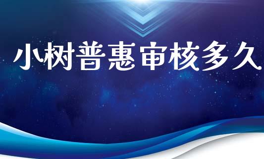 小树普惠审核多久_https://m.eyunqq.com_基金交易_第1张